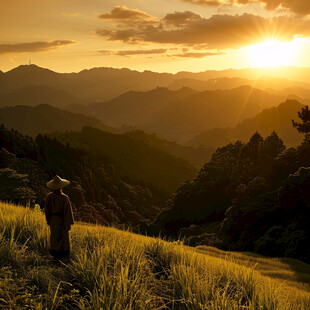 夕阳山色 静观天地