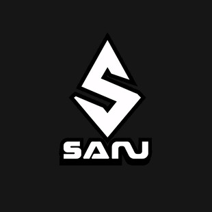 SAN品牌logo