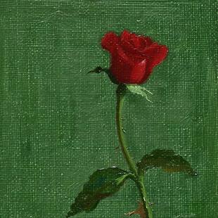 红玫瑰油画