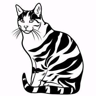 猫咪黑白风插画