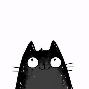 小黑猫插画