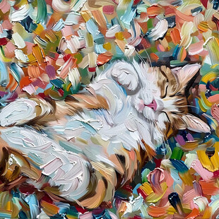 睡觉的大花猫