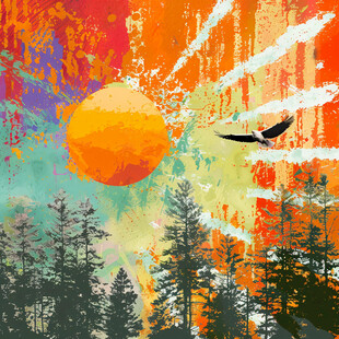 手绘鹰森林时尚插画