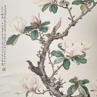 玉兰精品工笔花鸟画