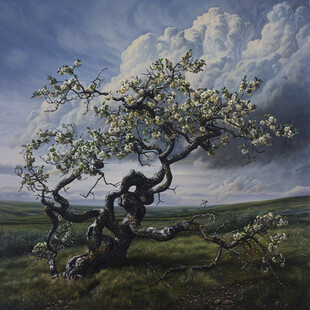 开花的树油画