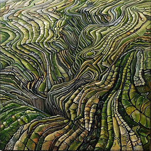 梯田艺术画