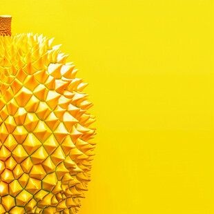 波普风金枕榴莲包装