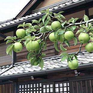 野村松花堂京都京都府