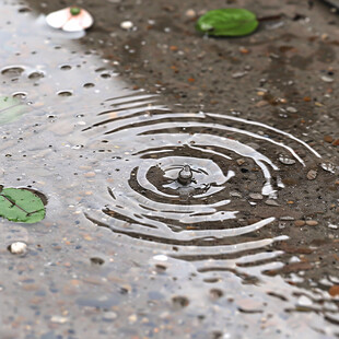 雨水溅落波纹