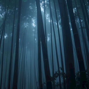 寂静的竹林