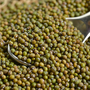 绿豆超清素材