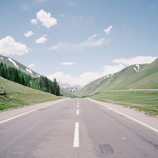 西北山路山脉草地