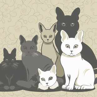 多只猫插画