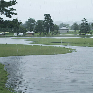 村庄下大雨景色
