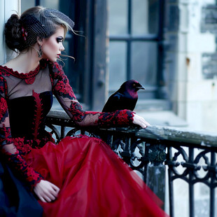 红色黑婚礼飞鸟