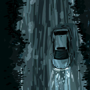 汽车在林中行驶