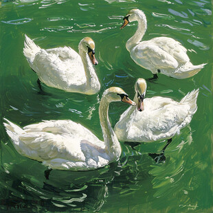 白天鹅禽鸟类油画
