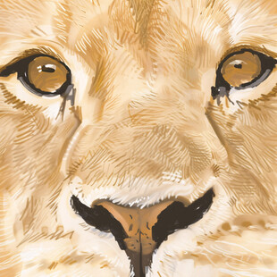 高清手绘抽象狐狸头