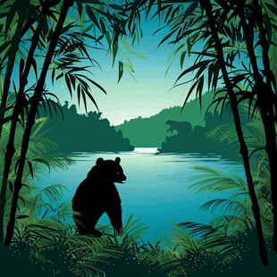 小熊室内野外场景插画