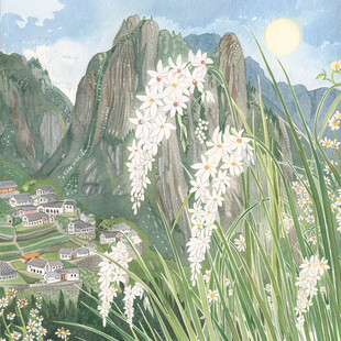 雁荡山插画