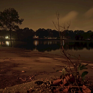 大树湖畔夜色