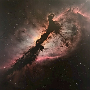 星宙天文玫瑰星云