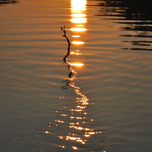 夕阳水纹湖泊波纹