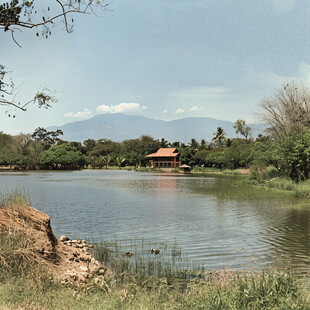 池塘湖大厝