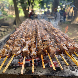 野营烤肉串