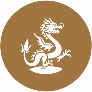 中国古代龙logo