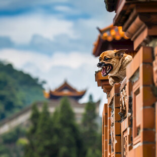 古建筑飞檐走兽