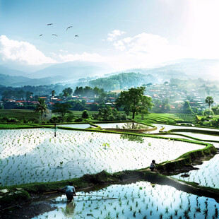 梦幻中国美田园风景