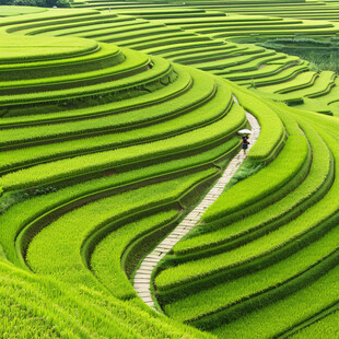 田间风景田梯风景