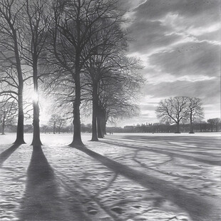 雪地上树影雪地