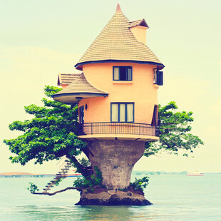 楼顶长树的房子