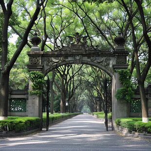 明孝陵石象路夏天