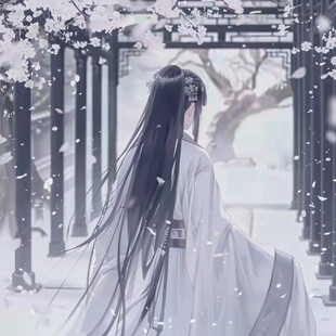 魏无羡蓝忘机卡通