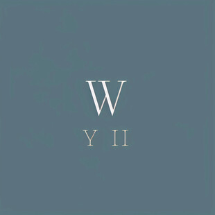 wy拼音字母logo