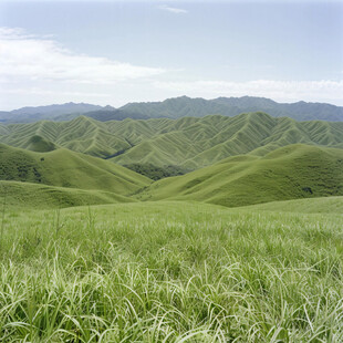 万亩草场高山草甸