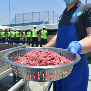 荷兰超市冷鲜牛肉馅