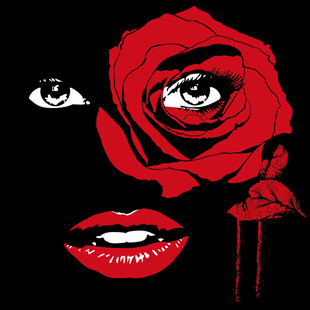 玫瑰花女人素材