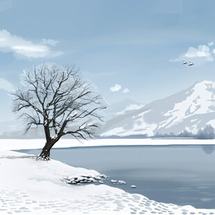 冬季冬天雪原雪景