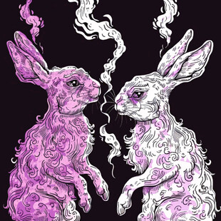 生肖母兔公兔卡通对