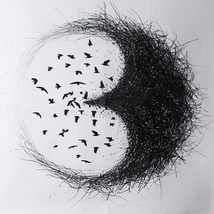 密密麻麻的虫洞