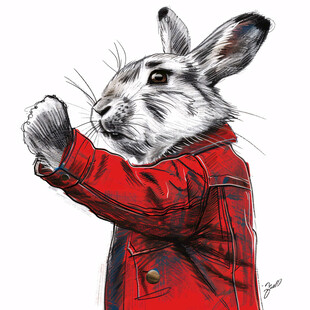 大展宏兔插画