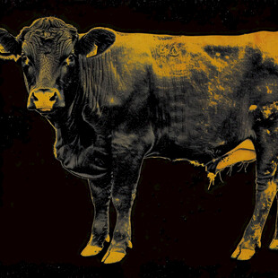 一头黄牛装饰画