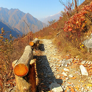 山间小路秋天