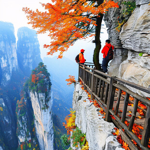 旅游风景景观自然华山