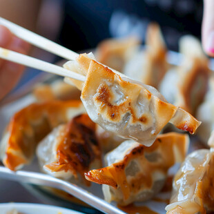 日式煎饺猪肉饺子