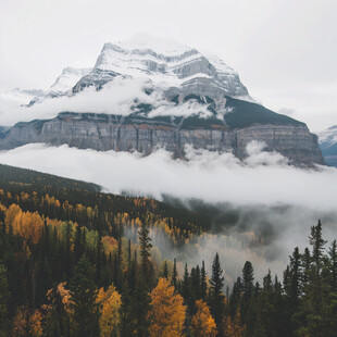 加拿大风景加拿大风光